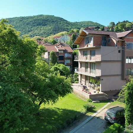 Guest House Dimitrije Niska Banja Exterior photo