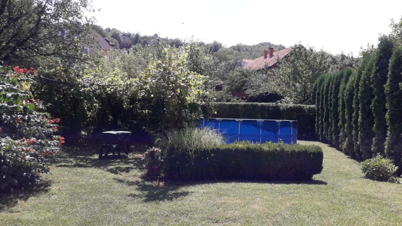 Guest House Dimitrije Niska Banja Exterior photo