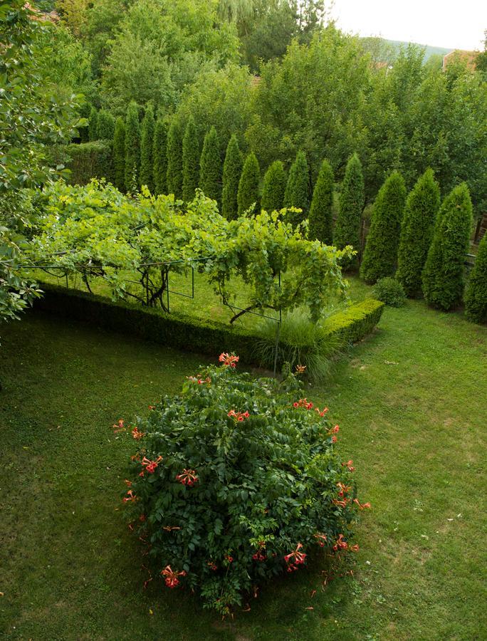 Guest House Dimitrije Niska Banja Exterior photo